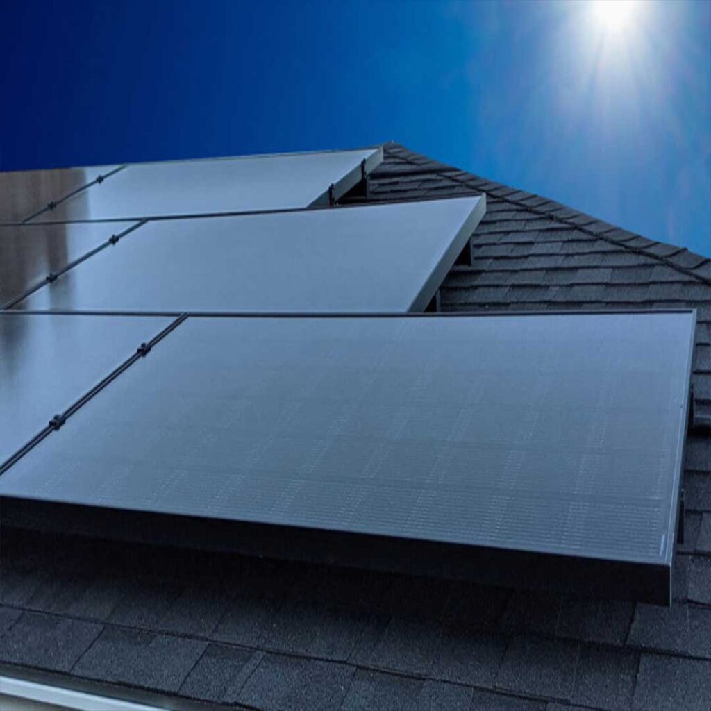 PegasusSolarhomeowners11 Pegasus Solar