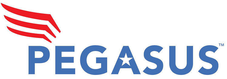 Domestic Content Logo